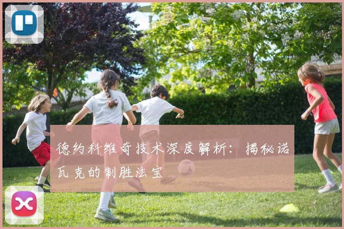 德约科维奇技术深度解析：揭秘诺瓦克的制胜法宝