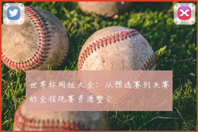 世界杯网址大全：从预选赛到决赛的全程观赛资源整合