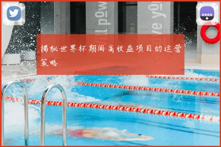 揭秘世界杯期间高收益项目的运营策略