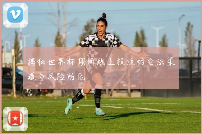 揭秘世界杯期间线上投注的合法渠道与风险防范