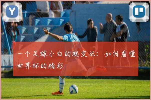 一个足球小白的蜕变记：如何看懂世界杯的精彩