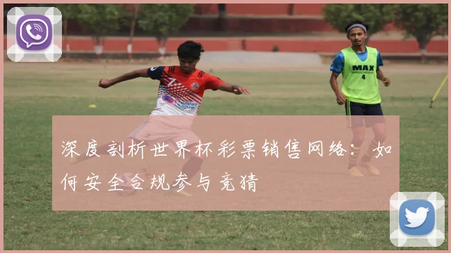 深度剖析世界杯彩票销售网络：如何安全合规参与竞猜
